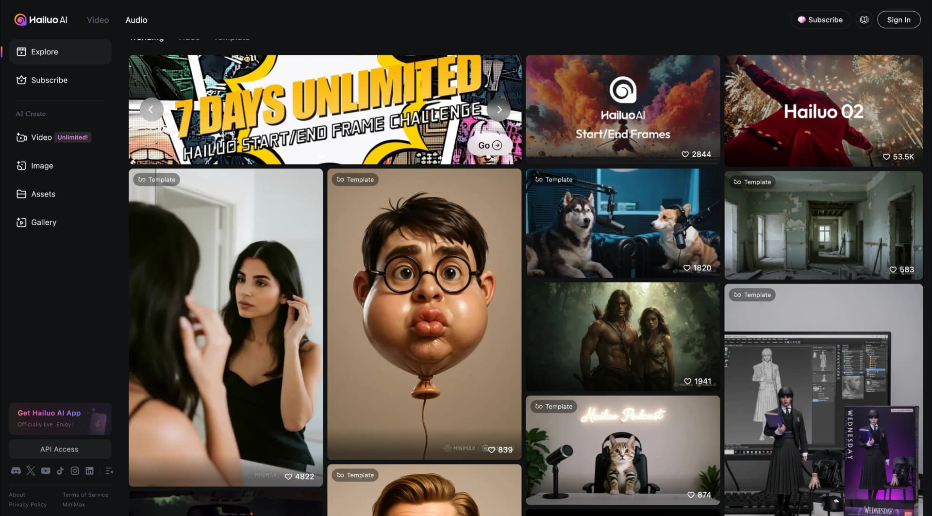 Hailuo Minimax AI video generator interface