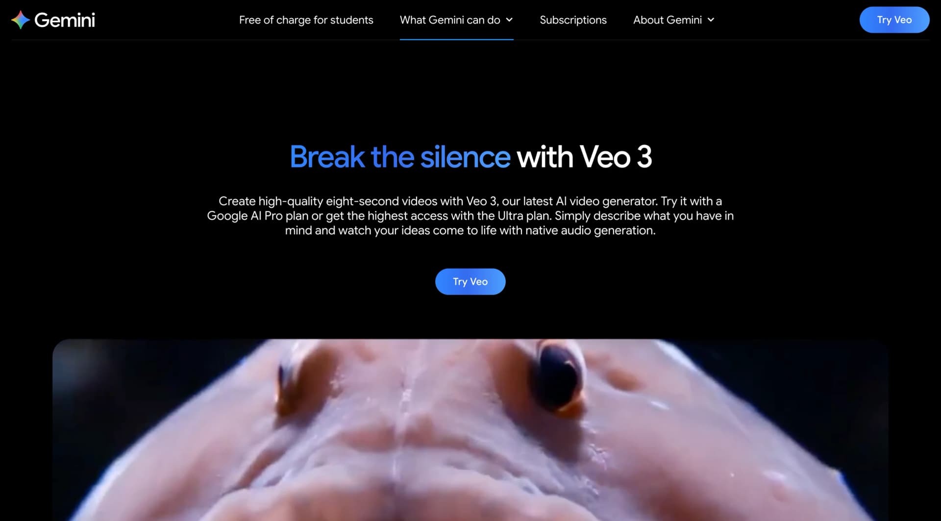 Google Veo 3 AI video generator interface
